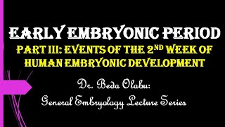 EVENTS OF THE 2ND WEEK OF HUMAN EMBRYONIC DEVELOPMENT