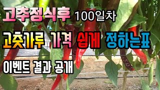 2021년 고추농사 고춧가루가격 홍고추가격 쉽게 책정하기