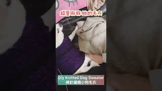 棒針編織 寵物毛 diy knitted dog sweater