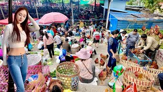 THẬT KHÔNG NGỜ CHỢ PHIÊN Ở TRUNG QUỐC LẠI BÁN NHIỀU ĐẶC SẢN LẠ ĐẾN VẬY | CHỢ MÈNG LÀ, VÂN NAM, TQ