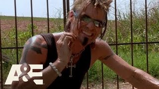Billy The Exterminator Scorpions A E