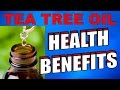 TEA TREE OIL - Top Ten Health Benefits and Uses TEA TREE OIL - Top Ten Health Benefits and Uses