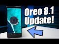 ZTE Blade Max View Oreo 8.1 | HUGE UPDATE!!!