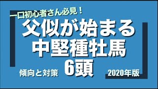 初心者一口馬主さん必見！ リオンディーズ、アメリカンペイトリオット産駒などの傾向と対策 2020年版　【計算する血統】No.32