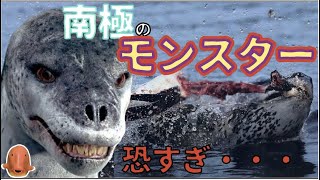 【南極の王者】まるでモンスターのようなアザラシの生態【怖すぎ…】