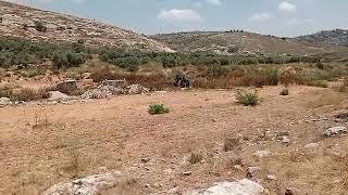 الاحتلال يقمع الفلسطينيين في جبل العالم في نعلين قضاء رام الله.
