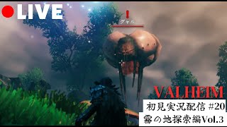 新武器の試運転も兼ねて霧の地探索！【VALHEIM】初見配信#20