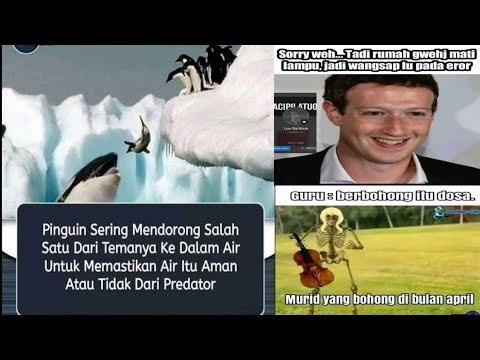 Kompilasi Random Meme 28 Meme Indonesia Youtube