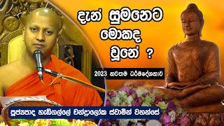 දැන් සුමනෙට මොකද උනේ  පූජ්‍ය හැඩිගල්ලේ චන්ද්‍රාලෝක හිමි දේශනා වදාල සේක  රත්නපුර ධර්ම දේශනාව - 2023