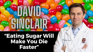 🩸Your Blood Sugar Impacts How You Age & Predicts Your Life Expectancy by Dr David Sinclair