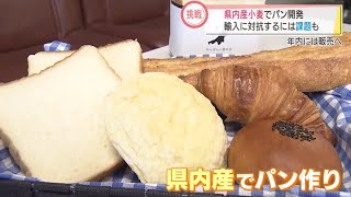 小麦が価格高騰…県産小麦でパン作りも　スーパーJにいがた10月14日OA