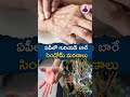 ఏపీలో గులియన్‌ బారే సిండ్రోమ్‌ మరణాలు guillainbarresyndrome