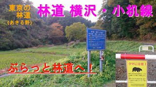 【CRF250L】東京の林道、横沢・小机線　/　あきる野市 / 住宅街の奥にこんな林道が