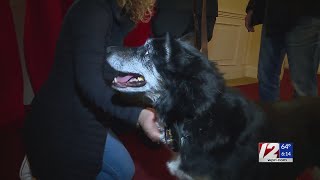 Remembering Ruby: RI State Police K-9 redefines the word ‘hero’