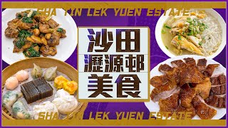 【沙田瀝源邨美食】復古文青麵店$54蒸魚套餐｜52年大碗足料$45清湯腩｜必食名物$148片皮鴨｜Viu Food