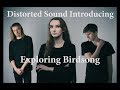 INTRODUCING: Exploring Birdsong