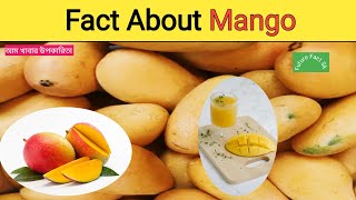 আম সম্বন্ধে 5টি অবাক করা তথ্য| Top 5 Fact About Mango|amazing facts|আম #shorts #fruit #facts