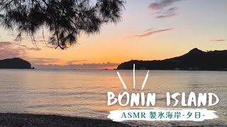 【ASMR】世界自然遺産小笠原諸島父島　製氷海岸