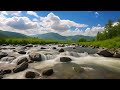 Mountain River between the green foothills (ASMR) #asmrsounds #mountainriversound