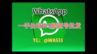 WhatsApp频道号一手源头供应批发 WS频道号购买找星链出海 大量出售WS频道号