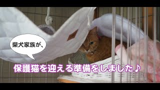 保護猫まる子の受け入れ準備♪