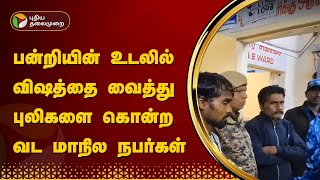 பன்றியின் உடலில் விஷத்தை வைத்து புலிகளை கொன்ற வட மாநில நபர்கள் | Nilgiris | PTT