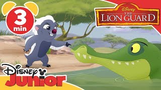 The Lion Guard | The Crocodiles! 🐊| Disney Kids