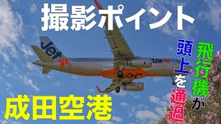 飛行機好きならここに来るべし！成田空港撮影ポイント#成田空港#飛行機撮影#写真撮影