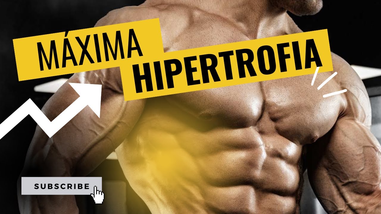 TENSIÓN MECÁNICA | Principios Fisiológicos De La HIPERTROFIA MUSCULAR 💪 ...