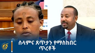 ሰላምና ጸጥታን የማስከበር ጥረቶች