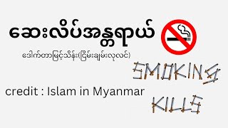 လူသတ်သမား ဖြစ်စေသော ဆေးလိပ်အန္တရာယ် ဒေါက်တာမြင့်သိန်း ငြိမ်းချမ်းလုလင်