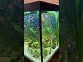 aquarium 600ll. 160 65 65.this what we do