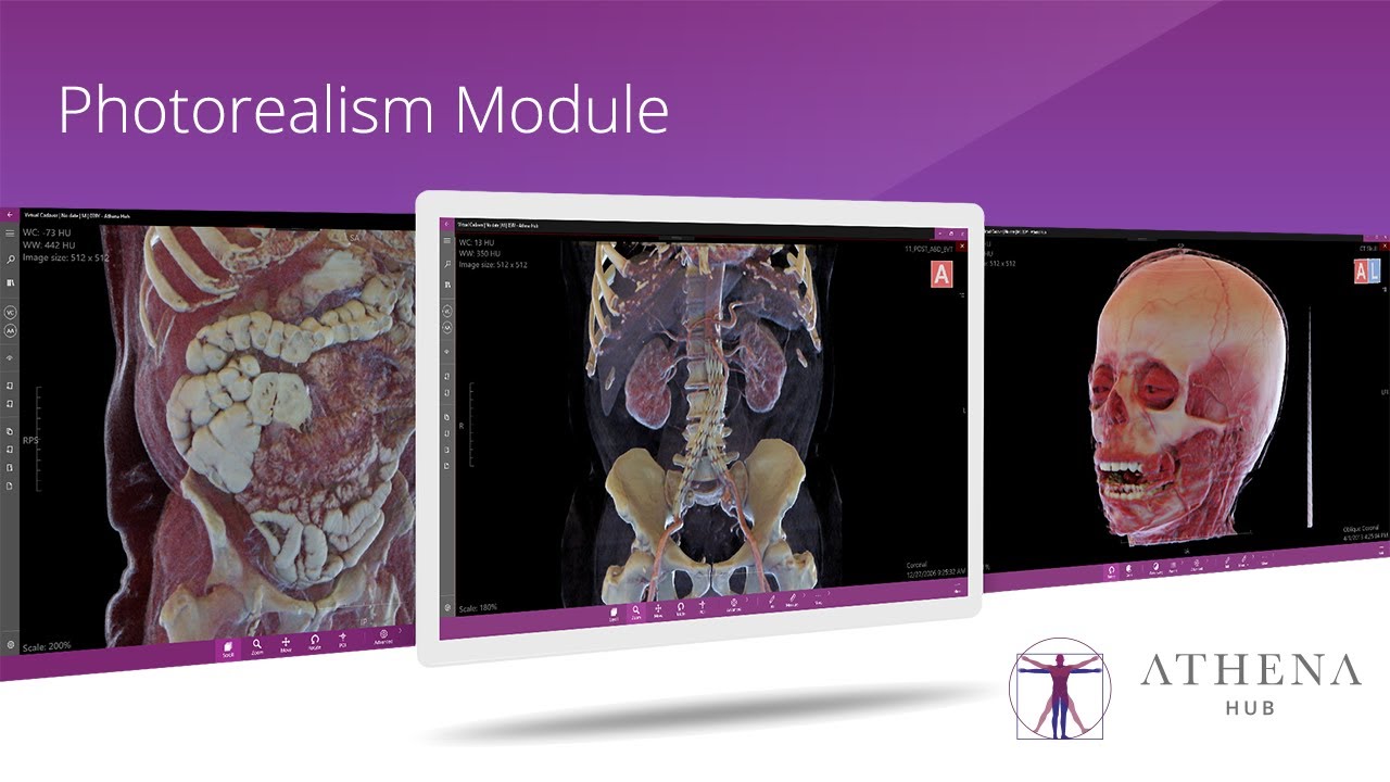 Athena Hub Photorealism Module Youtube