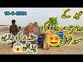 Eid Day 2 Latest Position June 18 2024 || Northern Bypass Karachi Cow Mandi Latest Update