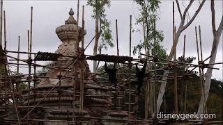 WDW: Disney's Animal Kingdom - Siamang Gibbons In Asia