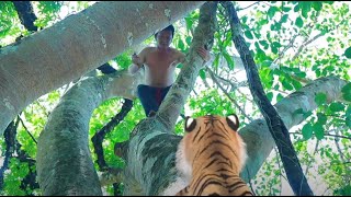 primitive men build nice house protect tiger by leaves ua tsev nplooj nkaum tsov