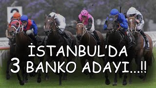 (🔥3 BANKO ADAYI...!!!🔥) 26 ŞUBAT ÇARŞAMBA İSTANBUL AT YARIŞI TAHMİNLERİ ve YORUMLARI