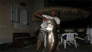 Amberjack Monster 51kg Μαγιατικο Τεράστιο 51 κιλα...