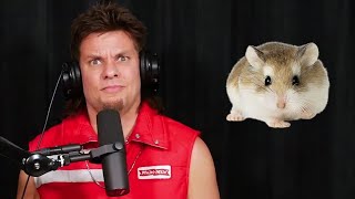 A Hamster Is Not A Vetable Animal