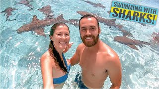 SWIMMING WITH SHARKS 🦈 Snorkeling Wreck \u0026 Sailing Travel Vlog Ep. 21