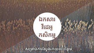 ឯកសារកសិកម្ម វីដេអូទី41 វិធីសាស្រ្តនៃការចាត់ការដំណាំទុរេនលក្ខណះជាទ្រងទ្រាយធំ ៤០០០ដើម នៅTKY Farm