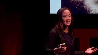 Dyslexic? They're not broken | Dr Rosa Kwok | TEDxCoventry