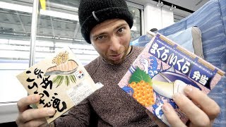 Japanese TRAIN FOOD Review - Fish Bento Box + Meiji Jingu Shrine | Tokyo to Yamanashi Prefecture