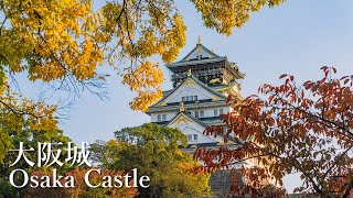 Osaka Walk - Autumn leaves of Osaka Castle 2022 4K HDR Japan