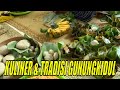 KEKAYAAN KULINER & TRADISI GUNUNGKIDUL | JEJAK ANAK NEGERI (05/08/21)