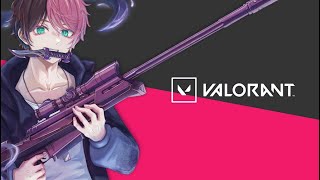 【VALORANT】アンレ参加型 シルバー3 ヴァロラント 初見さん歓迎