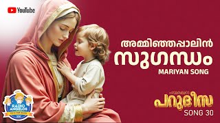 അമ്മിഞ്ഞപ്പാലിൻ സുഗന്ധം | PHIPIN PAUL | Sr.JOSIN C.S.N | SYAMA  RADIO ANGELOS