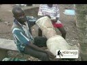 djembe making a djembe ghana west africa