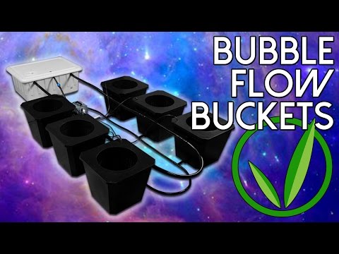SuperCloset Review | Bubble Flow Buckets | Best Hydroponics System SuperCloset Review | Bubble Flow Buckets | Best Hydroponics System