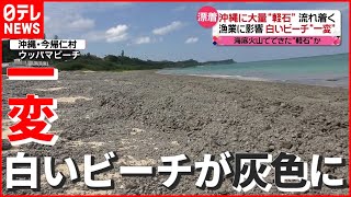 【漁業に影響】海底火山でできた“軽石”か…沖縄の真っ白な砂浜が灰色に